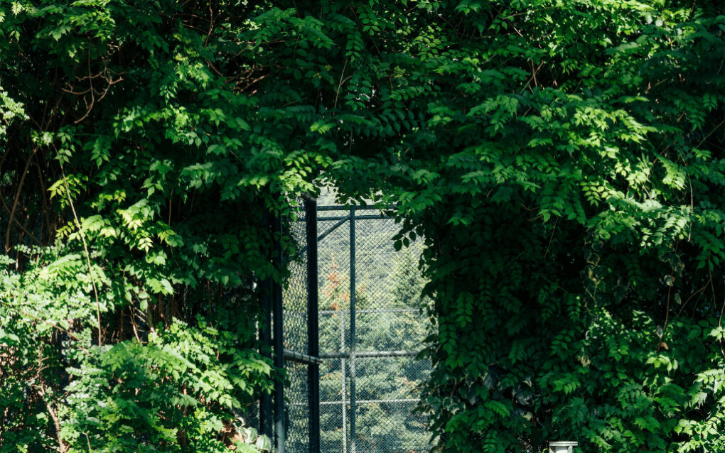 Contrôle d'accès Padel et Tennis